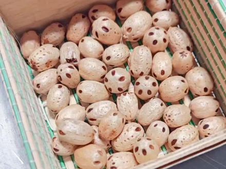 自制五眼六通菩提子手串#自制手串#手工