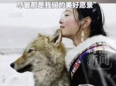 狼王格林已离世,李微漪手写信确认:16年传奇,归于草原