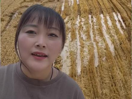 #襄阳#一方有难八方支援这就是中国力量 #田间地头的真实发声 @抖音作者助手 @抖音创作灵感 @生活服务热点中心