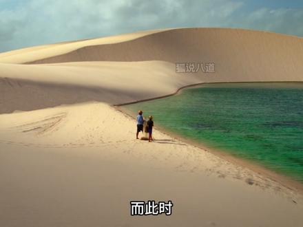 你见过沙漠里的鱼吗?#甲鲶 #泰斗鱼 #神奇的动物在抖音