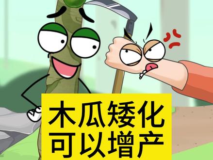 木瓜矮化可以增产?#新农人计划 #乡村守护人 #三农种植 #轻漫计划 #充能计划