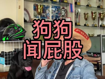 你以为狗喜欢,其实只是你以为。#原创视频 #亨特训犬