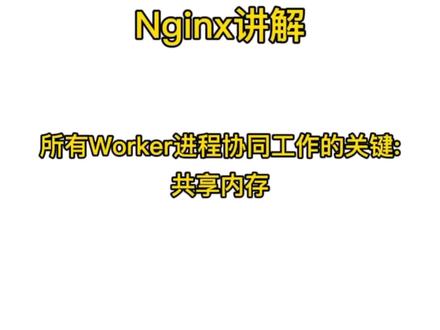 Nginx:Worker进程协同工作的关键:共享内存