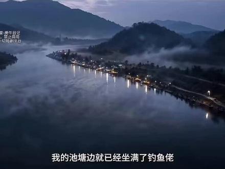 荒野爆杆记承包水库第3集#荒野 #钓鱼人 #巨物