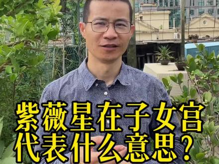 紫薇星在子女宫代表什么意思? #紫斗知识分享 #紫微知识 #易经文化 #风水玄学
