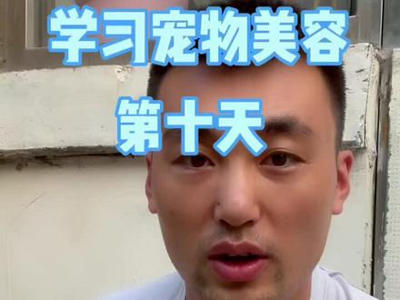 学习分享,教大家给狗子挤g门腺#宠物知识 #金毛