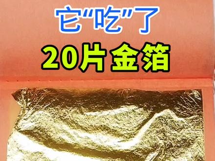 金箔被汞金属溶解掉,形成金汞齐,最后又提炼成黄金的科学实验。#涨知识 #科普 #黄金