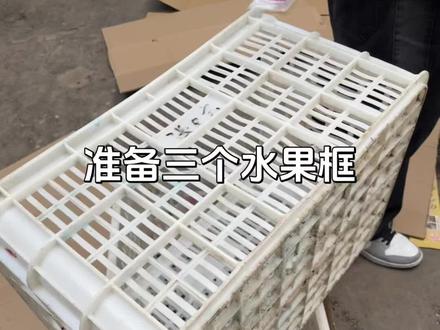 给猫咪diy个窝吧
#麦当劳猫窝 #萌宠 #猫猫