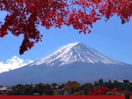 正式取消500趟日本航班,日本旅游业遭遇“寒冬” ##上热门
2025年11月中旬,因日本高层涉台错误言论引发中方强烈反应,中国外交部发布赴日旅行提醒,中国航司随即大规模取消赴日航班,数量达500趟左右,这一举措如同一记重拳,直击日本旅游业的“命门”。
中国游客长期是日本入境旅游消费的主力军。数据显示,2025年前三季度,中国赴日游客达748.7万人次,同比增长42.7%,占日本外国游客总数的近四分之一,消费总额高达1.8万亿日元,占外国游客总消费的30%以上。东京银座的奢侈品店、大阪心斋桥的药妆店、京都的古建筑景区,中国游客的消费身影无处不在,为日本旅游相关产业注入了源源不断的活力。
然而,随着航班取消和旅行提醒的发布,日本旅游业瞬间陷入困境。东京成田机场中国航线预订量单日下滑65%,京都、奈良等地依赖中国游客的旅馆空房率飙升至70%。热门商圈中文导购闲置,支持支付宝的便利店客流锐减,高端酒店入住率暴跌。日本观光厅测算,若态势持续至年末,旅游业直接损失将超6000亿日元,连带航空、零售、免税店等关联产业也遭受重创,日航、松屋百货等企业股价应声暴跌,部分中小旅行社甚至启动破产程序。
日本经济本就承压,三季度GDP环比下降0.4%,折年率下滑1.8%,迎来六个季度以来的首次负增长。旅游业的重创无疑是雪上加霜,野村综研测算,中国游客减少六成将直接拉低日本单季度GDP0.21个百分点,抵消近一半增长动力。若这一趋势持续,经济损失可能高达2.2万亿日元。
日本旅游业的困境,根源在于其未能正视中方核心关切,在安全保障和政治立场上失去信任。此次事件也为日本敲响警钟,若想重振旅游业,需正视问题,以实际行动修复与中国的关系,重新赢得中国游客的信任与青睐。