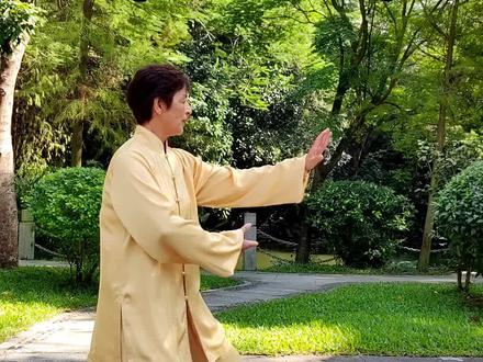 #上热门 24式太极拳第7式左揽雀尾,第8式右揽雀尾分动教学#太极 #因为热爱所以坚持