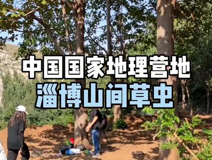 中国国家地理营地:淄博山间草虫#亮记生物鉴定 #知识创作人