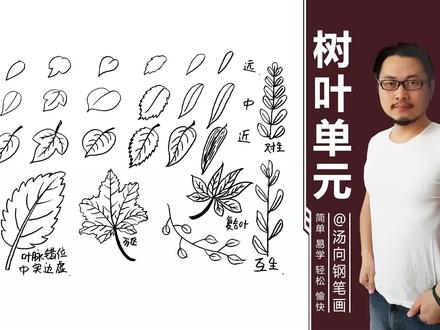 零基础线描风景钢笔画教程分享!各种不同类型的叶子画法#钢笔画#画画 #画画教程 #学习 #兴趣爱好