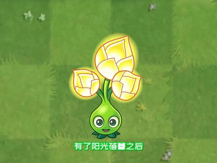 植物大战僵尸:这两套阳光蓓蕾组合,谁获取阳光更快?