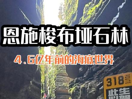 恩施市梭布垭石林 世界第一奥陶纪石林,4.6亿年前的海底世界。#恩施旅游攻略 #梭布垭石林 #自驾游 #十亿流量扶持计划 #volg旅行记