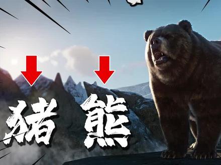 动物园之星52【中】在北极发现新动物,我起名叫“猪熊”,身材肥胖