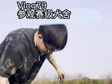 双血统柯基到底和宠物级有什么区别?双血统的应该怎样去挑选?#家有萌宠 #萌宠出道计划 #萌宠推荐官 #柯基 #怎样挑选柯基 #双血统柯基 #赛级柯基 #柯基宝宝 #柯基幼犬 #柯基价格