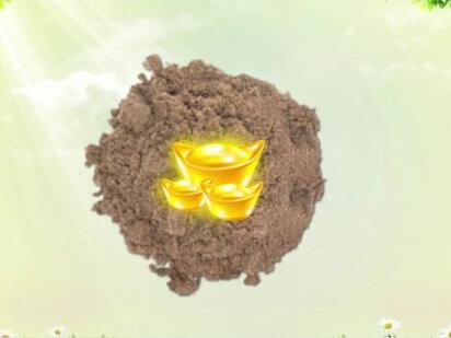 辛金生于春天最喜欢什么呢?#国学智慧 #智慧人生 #传统文化