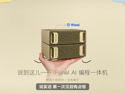 团队要上AI编程,选在线大模型还是本地部署大模型? #AI编程 #AI编程一体机 #1Panel一体机 #本地部署大模型 #团队AI编程