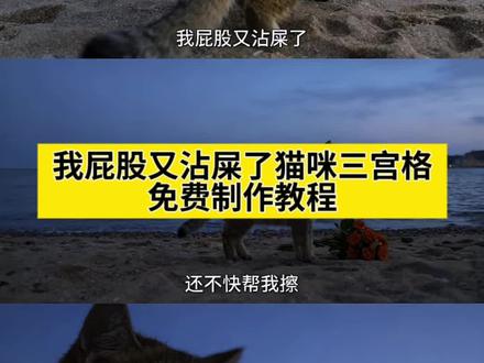 我屁股又沾屎了猫咪ai教程,我屁股又沾屎了猫咪ai,我屁股又沾屎了猫咪ai指令,我屁股又沾屎了猫咪ai豆包指令,你盐津虾嘛猫咪ai指令,豆包p图指令海边三横宫格猫咪,你盐津虾嘛猫咪,你盐津虾嘛猫咪AI指令,猫咪ai三图,猫咪ai,猫咪三宫格豆包p图指令,猫咪三宫格海边,三宫格,猫咪海边三宫格拼图,猫咪ai三图,猫咪面对大海ai,猫咪三宫格海边,猫咪三宫格豆包p图,猫咪三宫格,猫咪三宫格豆包p图指令,猫咪三宫格海边,猫咪三宫格搞笑,猫咪三宫格口令,猫咪三宫格拼图,猫咪三宫格制作教程,猫擦屁股,猫咪屁股沾屎处理,猫猫蹭粑粑,猫咪擦屎在床单上,猫咪沾屎处理,小猫拉肚子,猫咪生活趣事,猫咪上完厕所用床擦屁股原视频,皮下水肿猫咪,猫咪在床上擦屁股是什么意思,猫屁股有黑点,长毛小猫,猫咪照片,帮猫擦屁股,小猫拉肚子,猫猫蹭粑粑,猫咪沾屎清理,洗猫,猫咪屁股总是粘粑粑,猫咪不让擦屁股#即梦ai #猫咪海边三宫格拼图 #猫咪海边三宫格 #猫咪三宫格 #海边三宫格 ai特效,ai生成,ai特效一键生成,抖音ai创作