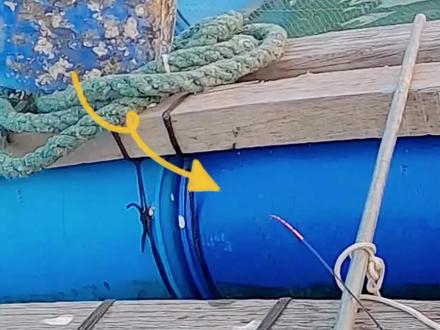 最近金谷比较多,什么,金谷不会钓?哪你看完视频就会了。#鱼排 #海钓 #海筏大师 #海钓船钓 #串钩 #抖音小助手