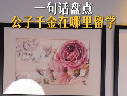 公子和千金们都在哪里留学? #留学 #留学规划 #剑桥大学 #美国留学 #世界名校