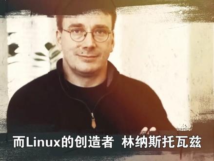 Linux之父,Git之父的传奇前半生。 #Linux #操作系统 #程序员