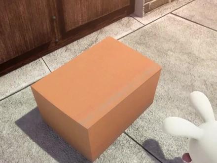 阿平动漫:兔子牙齿变异,非常像吸血鬼 被其他兔子当成敌人