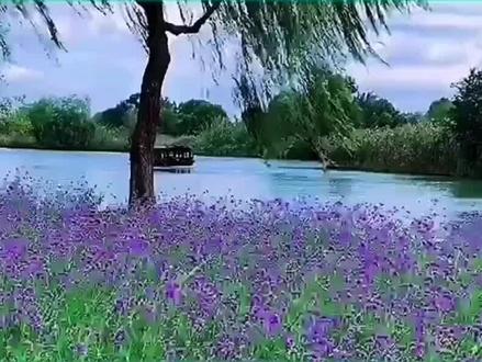 教你制作镜像反转