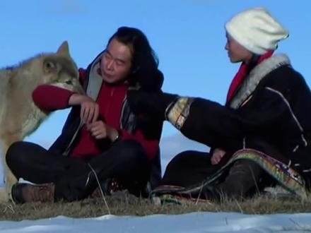 养狼两个人就很神了 #重返狼群 #李微漪 #亦风 #神搓搓 #万万没想到