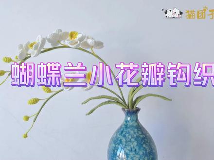 阿富汗针法的蝴蝶兰盆栽钩织,花朵漂亮逼真 #蝴蝶兰钩织教程 #蝴蝶兰盆栽 #毛线花朵编织 #手工diy
