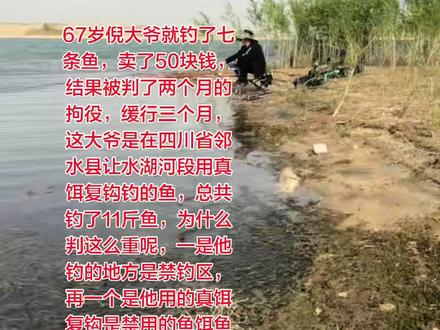野钓也要遵守规矩了 67岁倪大爷就钓了七条鱼,卖了50块钱,结果被判了两个月的拘役,缓行三个月,这大爷是在四川省邻水县让水湖河段用真饵复钩钓的鱼,总共钓了11斤鱼,为什么判这么重呢,一是他钓的地方是禁钓区,再一个是他用的真饵复钩是禁用的鱼饵鱼具,违反了水产保护法规,已经构成了非法捕捞水产品罪,所以说才会被刑事处罚