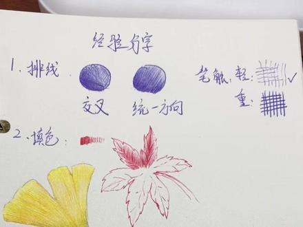 【圆珠笔】手绘~关于自己的一些经验和技巧分享#画画 #圆珠笔#圆珠笔画 #画画分享 #绘画分享