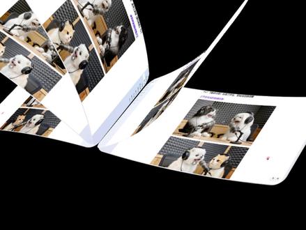 宠物吐槽主人视频工作流,零基础保姆级实战教程! #Coze工作流 #萌宠视频 #coze教程 #搞笑萌宠 #萌宠日常记录