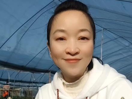 五感法写草莓,春天摘草莓,学观察,会表达#作文 #小学生 #语文 #寒假