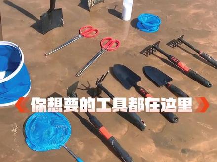假期带娃赶海需要带什么工具?赶海工具大全,让您和孩子体验赶海乐趣#赶海 #户外赶海抓海鲜 #抓螃蟹 #海滩拾趣