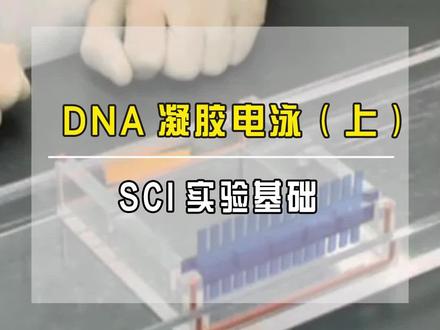 DNA凝胶电泳-制备琼脂糖凝胶 #分子细胞实验 #sci实验 #sci #科研 #科研工具