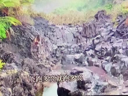 山洪就是这样在夜深人静的时候偷偷突然袭击的,而且来势冲冲把你从美梦中托运去另一个天堂。
