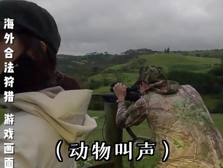 热心网友发现新西兰红鹿泛滥,帅小伙火速带女友前往。。 #大豪夫妇