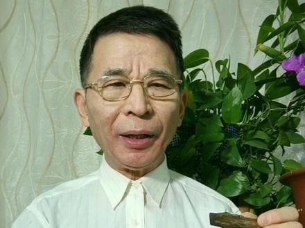 越南芽庄白奇楠沉香,闻起来是什么样的味道?清闻这些香韵特点,才是鉴别它重要依据#沉香#天然沉香#沉香鉴定#沉香知识#沉香文化@沉香@文玩