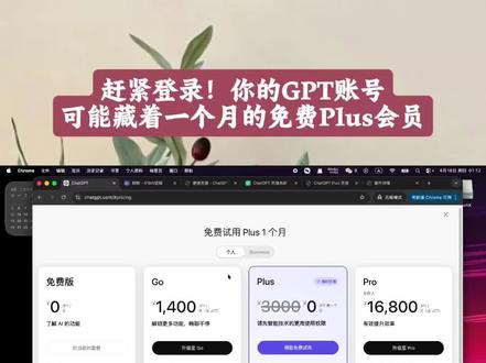 #ChatGPT #ChatGPTPlus #GPTPlus #AI #codex