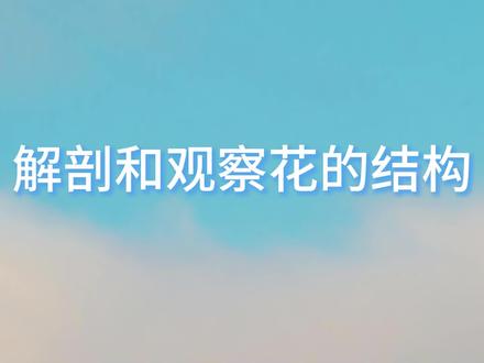 初中生物实验解剖和观察花的结构#初中生物 #生物实验 #新教材