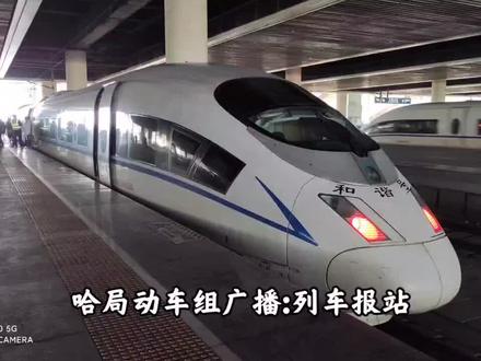 首次解锁哈局动车组报站广播,CRH380BG 5565哈局哈动。#高铁
