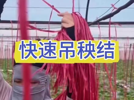 正是种秧苗的季节,快来学一下这个吊秧结 #绳结 #创作者中心 #创作灵感 #绳结教程 #吊秧结