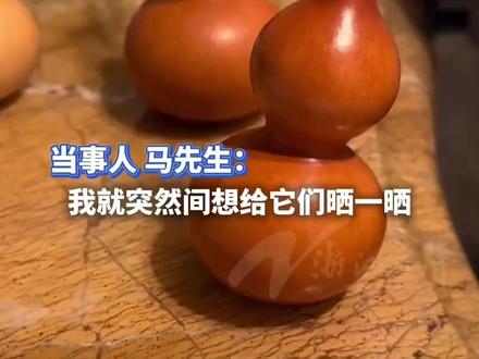 男子文玩葫芦突然摆动起来,最新进展:已带到宠物医院拍片,里面全是籽,没有虫。网友:六娃,真的是你吗?#葫芦娃 #葫芦摆动 #走近科学 #生活趣味瞬间 #科普小知识