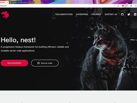 NestJs 与 Express 有什么关系 #web前端 #typescript入门 #express