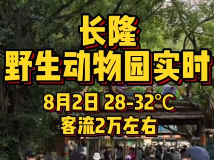 长隆野生动物园实时状况(2025.8.2)
天气情况
今天是2025年8月2日,星期六,天气预报为雷阵雨,目前阴天,28到32摄氏度,不算太热,预计今天10点后下小雨,园区有大量树木观景台遮雨,最近基孔肯雅热佛山爆发,对广州影响不大,带好防蚊水,穿防晒长袖长裤即可
客流量
今天暑假周六,今天预计2万左右客流,入住广州长隆旗下酒店能提前的40分钟入园,散客早上9点可入园,一般8点半已有人排队,南门,西门比北门排队人更少,中午过来游玩人更少哟!小火车排队等候时间半小时左右,今天快速达单次100元,多次260元。丛林野趣大巡游下午4点半开始。中心区9点开放,缆车10点开放,早上入园可先逛熊猫村或坐小火车
出行装备:
今天预计雨天,带伞雨衣备用,可多带2支水,纸巾,充电宝,防蚊水,带些面包零食放包包底部。有小孩的可以带婴儿车或租台童车。注意事项,露营车,带座椅行李箱,脚踏车,商场手推车等禁止进入园
成人可免票带1名未满3周岁或身高未超过1米的儿童入园。
线路推荐🗺️
北门—非洲草原小火车—青龙山(侏罗纪森林-雨林仙踪-金蛇秘境-科莫多龙)—白虎山—长颈鹿广场—考拉园—亚洲象园—熊猫乐园—缆车(环线!)-萌帅酷乐园—儿童天地-火烈鸟—花车巡游(南门入园相反即可)
温馨提示‼️
1. 广州长隆 24 小时停车全天封顶 36 元🚗
2. 园区有免费穿梭巴士🚌,汉溪长隆地铁E口-北门,南门-北门,环线(酒店到园区)
3. 长颈鹿广场:工作日树枝 30一根,周末节假日 50 元一根,不要一次性喂,拆开拍照很出片📷。
4. 乘游区有两种游览方式:坐小火车和自驾,都从北门出发,游览路线一致。
5. 北门有自驾入口,开车入园工作人员收费验票(需准备好身份证),人无需下车。
6. 自驾需单独给车买门票,平时 300,节假日 350元。
7. 园区有童车,100-120 元/台,需交200押金,比外面租贵很多。
8.非洲草原小火车游览全程约40分钟
9.园区缆车分为环园线和天鹅湖线,环园线可俯瞰整个园区景观,天鹅湖线能近距离观赏天鹅湖美景,建议体验不同线路
10.入住广州长隆旗下酒店能在北门提前入园
(以上原创文章,照搬必究)
#长隆野生动物世界#长隆 #长隆野生动物园实况#广州长隆野生动物世界实况#长隆野生动物园