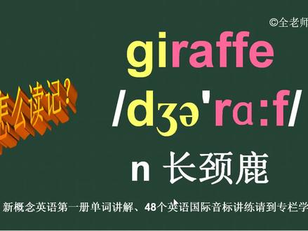 长颈鹿giraffe怎么读如何记 #英语单词 #英语词汇 #英语音标 #词汇 #音标