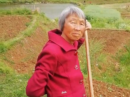 小燕子赵薇的丈夫是黄有龙。黄有龙是邵东佘田桥人。
黄有龙的家乡龙塘村!