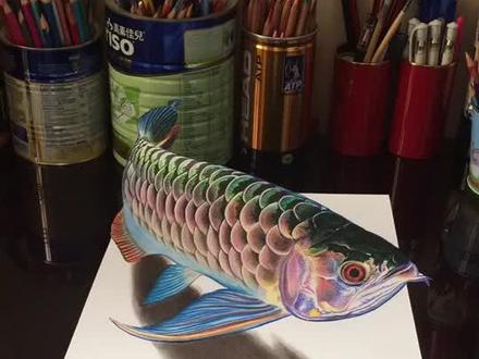 3D立体画,彩铅金龙鱼