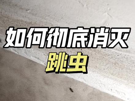 体积小脾气大,一碰直接原地起飞,说的就是家里烦人的跳虫!很多人觉得这种小虫子不咬人、没危害,可它对居家环境的破坏,远比你想象的要严重。跳虫最爱潮湿阴暗的环境,卫生间地漏、阳台花盆、墙角缝隙都是它们的藏身繁衍地。它们虽不直接叮咬人体,但身体携带大量霉菌和细菌,爬过衣物、被褥、桌面后,会留下细菌隐患,容易引发皮肤瘙痒过敏,而且跳虫繁殖速度极快,短短几天就能从几只泛滥成上千只,密密麻麻遍布全屋,让洁癖的人直接崩溃。想要彻底消灭跳虫,光靠打扫远远不够,要用跳虫杀虫剂防治!#跳虫 #烟灰虫 #小黑点虫子 #跳虫杀虫剂 #跳虫危害